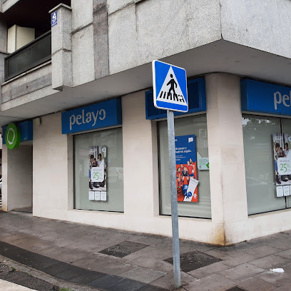 Oficina Seguros Pelayo- Compañía de seguros en León