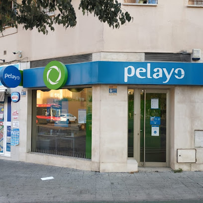 Oficina Seguros Pelayo- Compañía de seguros en Sevilla