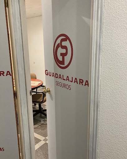 Guadalajara Seguros- Compañía de seguros en Guadalajara