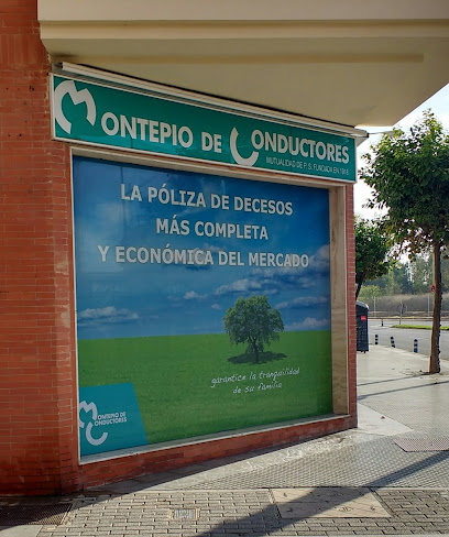Montepío De Conductores De La Comunidad Autónoma Andaluza- Compañía de seguros en Huelva