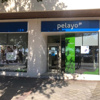 Oficina Seguros Pelayo- Compañía de seguros en Sevilla