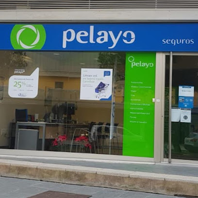 Oficina Seguros Pelayo- Compañía de seguros en Huelva