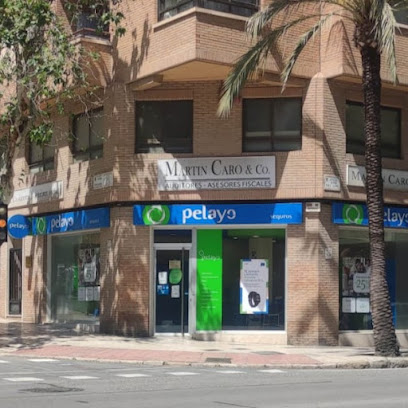 Oficina Seguros Pelayo- Compañía de seguros en Alicante
