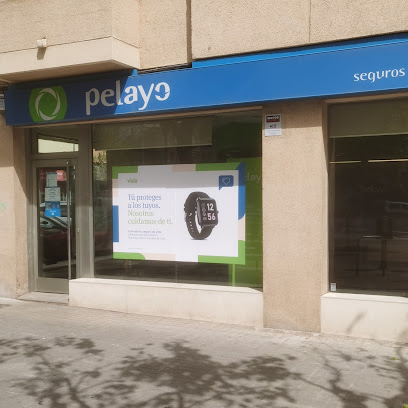 Oficina Seguros Pelayo- Compañía de seguros en Valencia