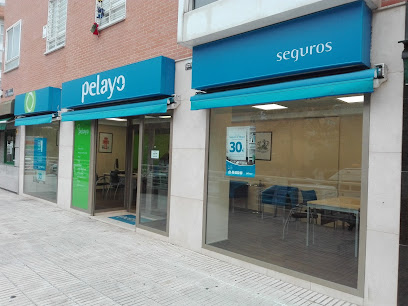 Oficina Seguros Pelayo- Compañía de seguros en Madrid