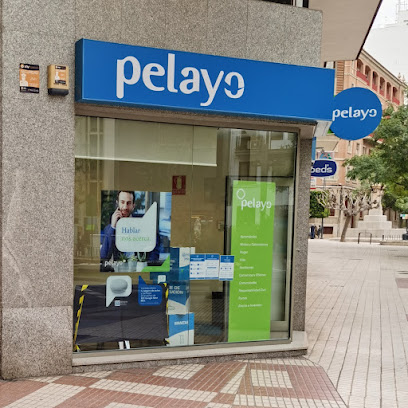 Oficina Seguros Pelayo- Compañía de seguros en Castellón de la Plana