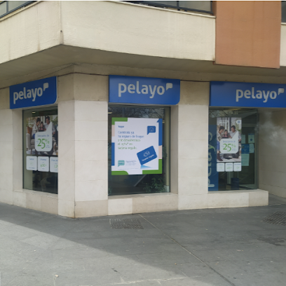 Oficina Seguros Pelayo- Compañía de seguros en Granada